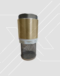 Valvula Bronce Check (Anti-retorno) 1" HI Filtro Metalico