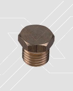 Tapon Bronce 3/4" HE